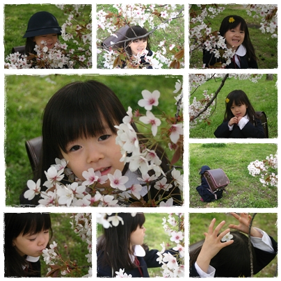 2010_sakura