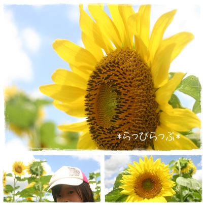 2010 summer photo3